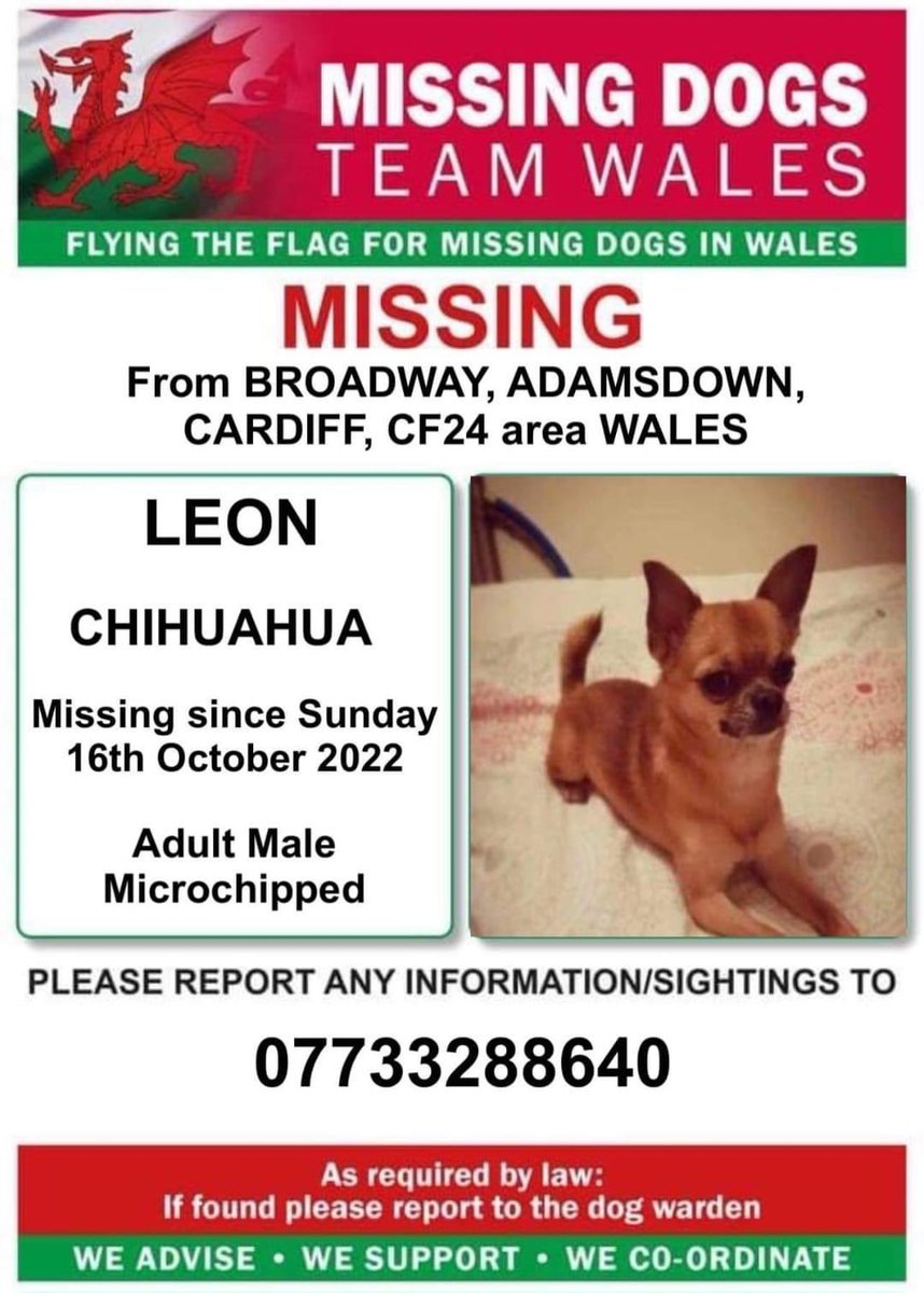 ‼️LEON HAS BEEN #MISSING SINCE OCTOBER 2022 FROM #ADAMSDOWN AREA #CARDIFF #CF24 
He is MICROCHIPPED
BUT NOT BEEN PICKED UP BY THE WARDEN NOR TAKEN TO ANY VETS 

IF ANYONE HAS ANY INFO ON LEON THEN PLEASE CALL THE NUMBER ON THIS POSTER
#theftbyfinding 🤔😖?
m.facebook.com/groups/1919091…