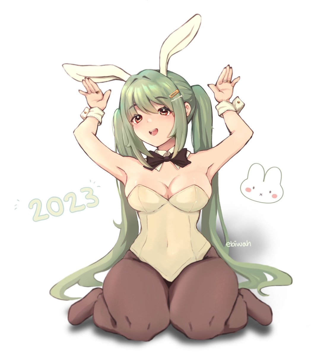 year of the rabbit 🐰🤍