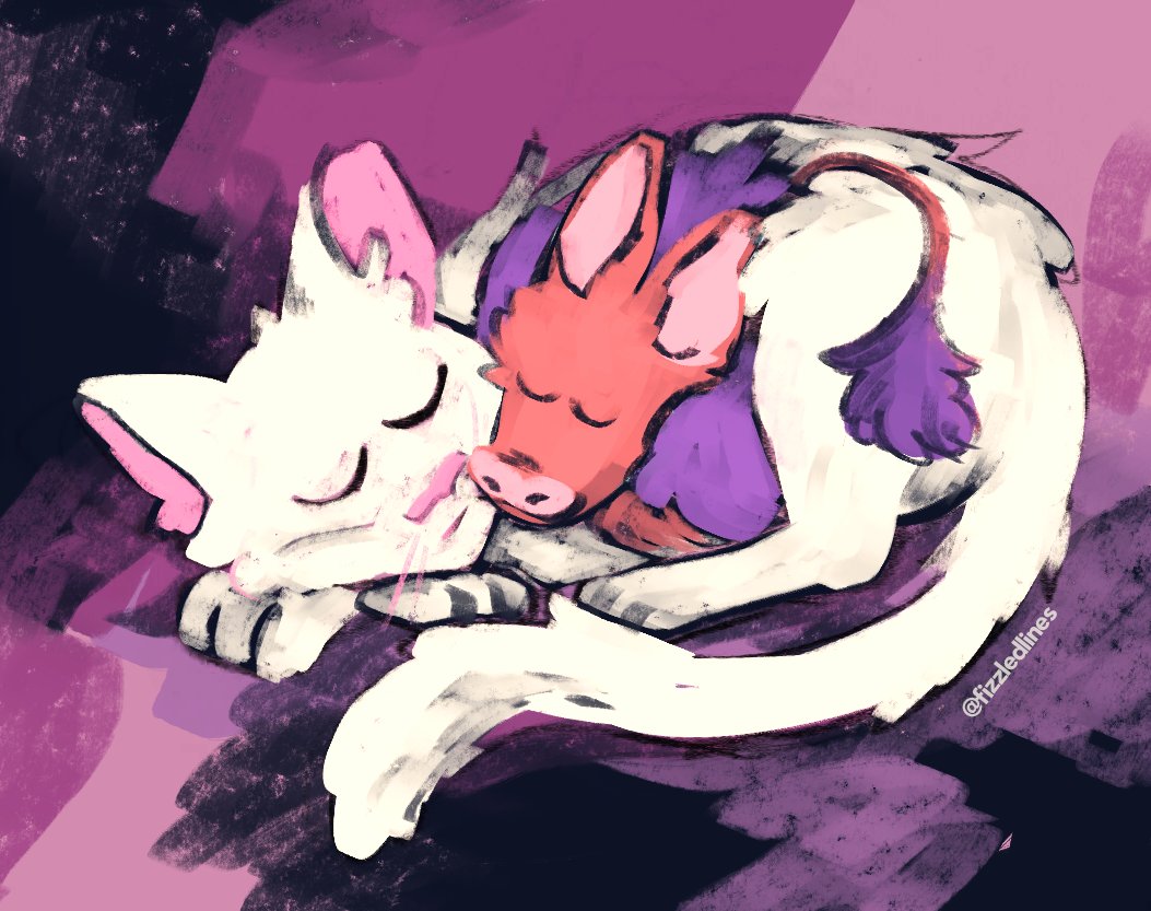 OPEN ⚠️ K!LL THE BILL on Twitter "taking the opportunity for