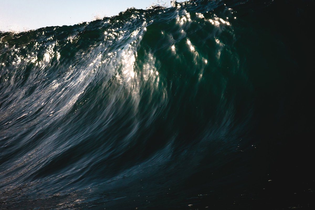 Luke Barker tweet media