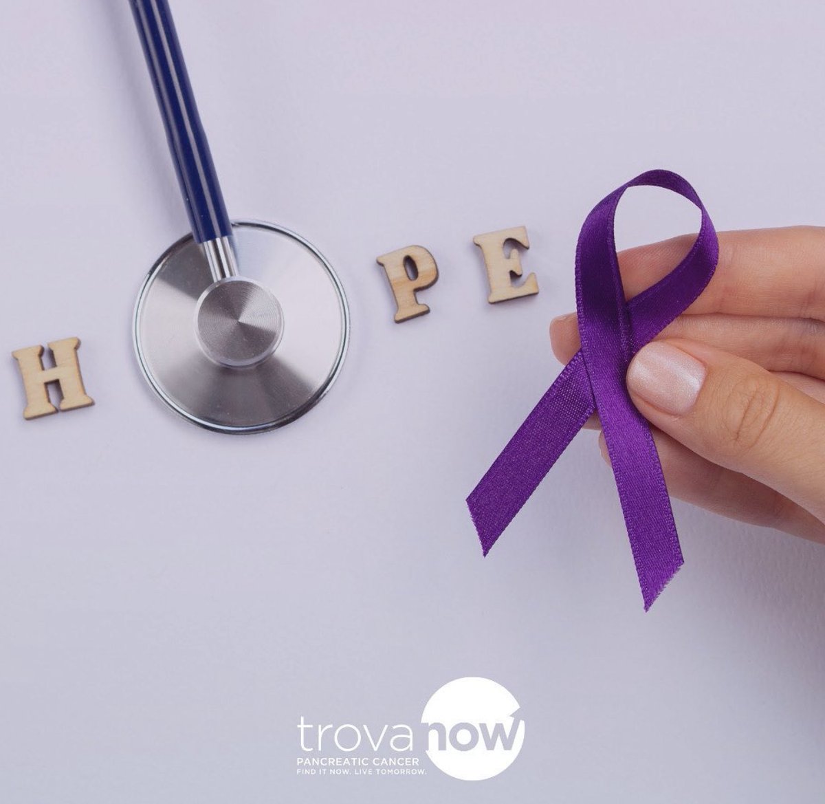 TrovaNOW tweet media