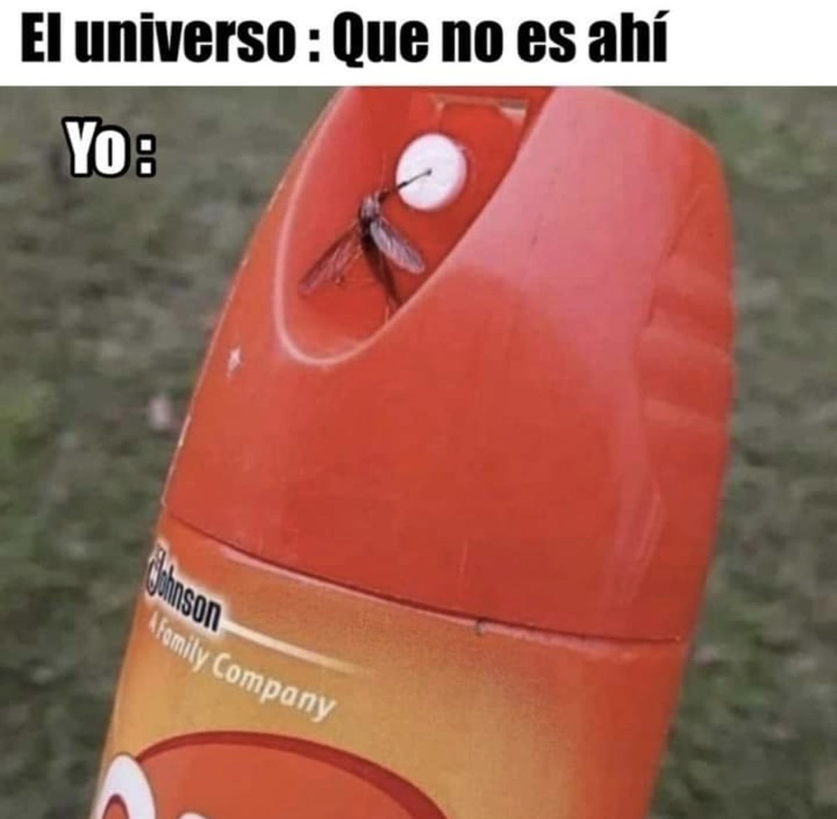grunoncin's tweet photo. ¡Cada que me enamoró de un precioso! https://t.co/qghgWANx4y