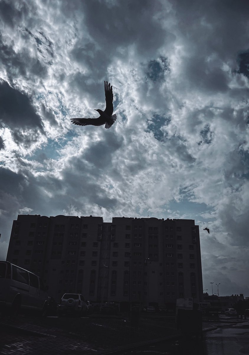 sadeqalbanna 📷 tweet media