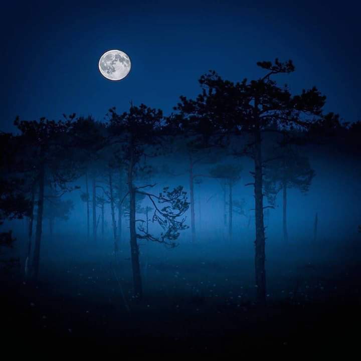 OMarlene094527's tweet photo. Night. https://t.co/fTx7eN2NMF