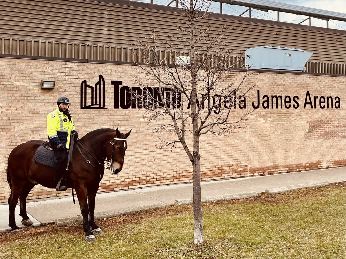 TPSMounted's tweet image. #PHSaunders and #PHMoose visited @TPS55Div and patrolled the #flemingdonpark neighborhood. These two were quite the hit and stopped for many photos.  #newfriends #community #engagement #standtall #policehorse #torontopolice #trueambassadors