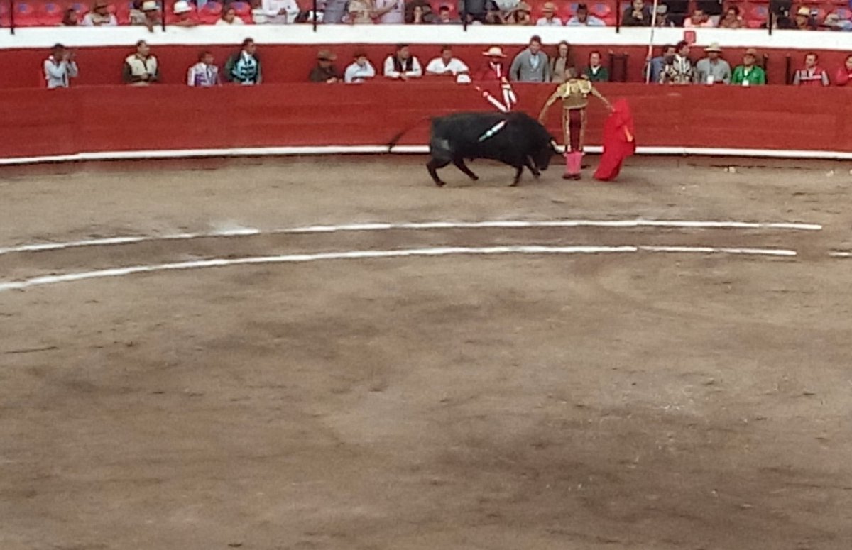 juanfer_fr's tweet photo. Un día como hoy de 2007 un torero con sentimiento y personalidad hizo que me llamara la atención la que hoy por hoy es una de mis más grandes pasiones.
Como olvidar ese “renacimiento” del #pana en su pseudo despedida se la plaza México. 
Les dejo una foto de un pase desde Pachuca https://t.co/99Fh2ZSkWs