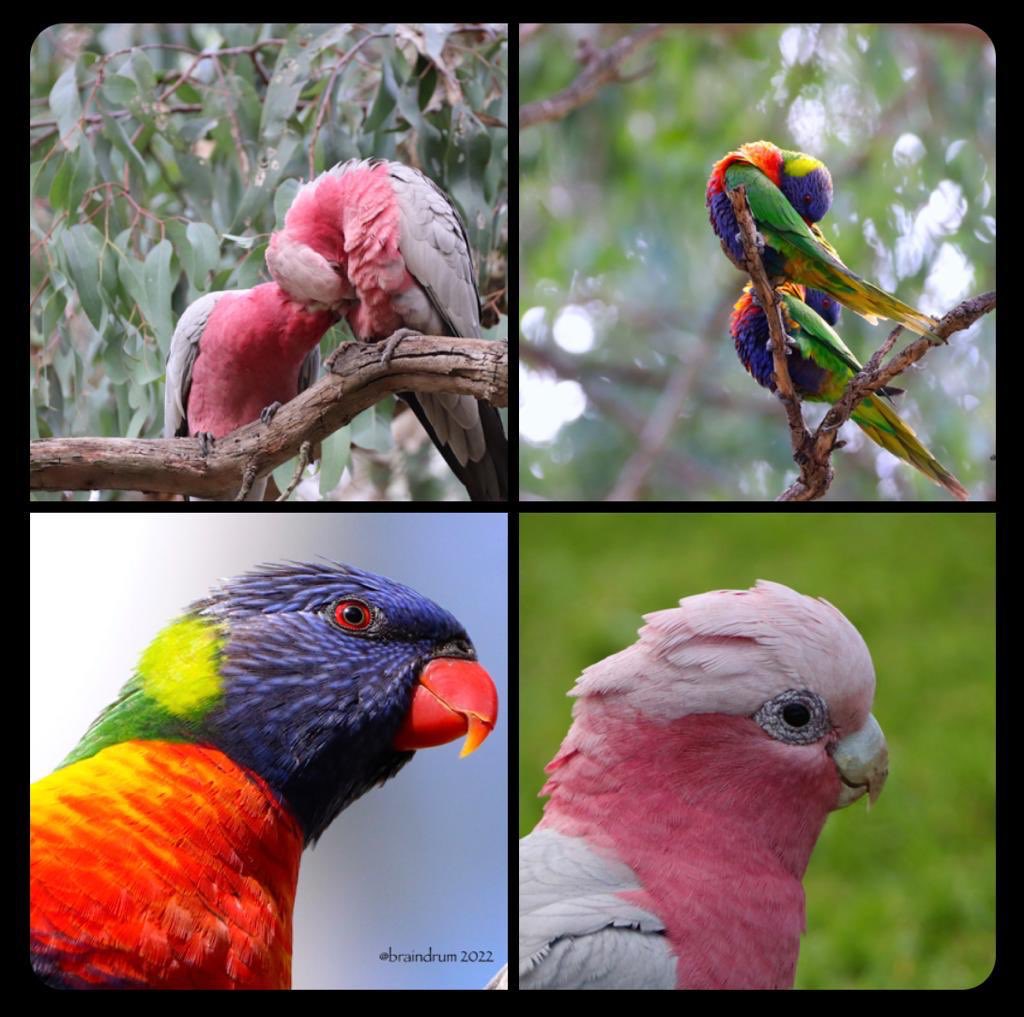 When ‘I’ is replaced by ‘we’, even ‘illness’ becomes ‘wellness’ …nobody gets left behind.
#Ohana #Ubuntu