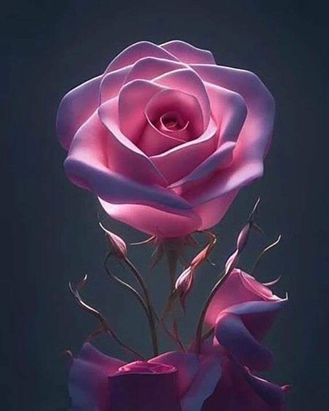 احسان (@1ehsan33) on Twitter photo 