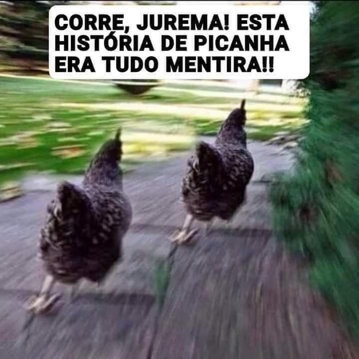 jacin_aria's tweet photo. 😹😹😹😹😹 https://t.co/a3Fyapbvao