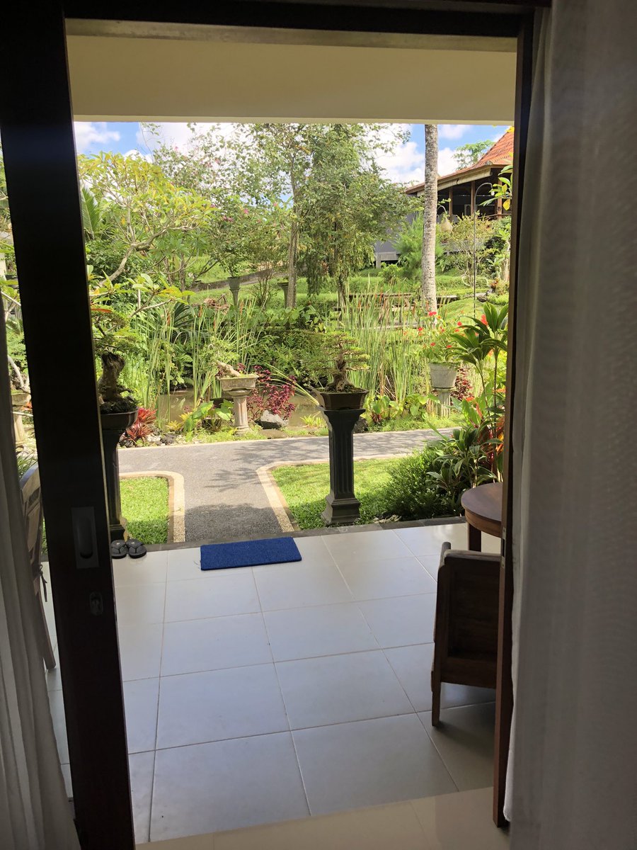 ulli is here… 😎✌🏻🌋 ubud, bali