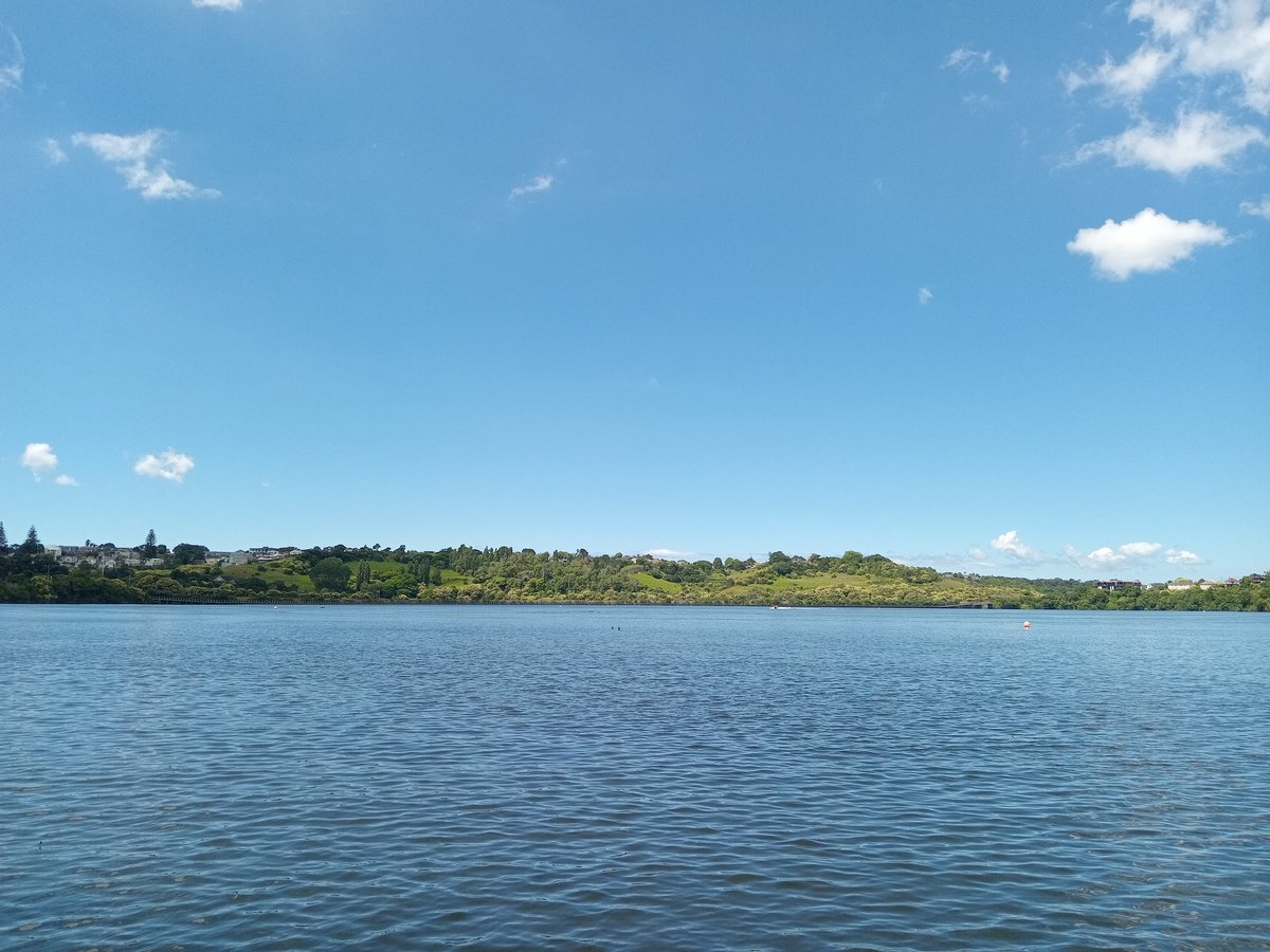 bookrach's tweet photo. Walked around Orakei basin this afternoon and Ms17 was in birdwatching heaven - tui, piwakawaka, chaffinches, swallows, herons, shags, and a pair of spoonbills. Love Auckland so much ♥ https://t.co/y1LMe8QmJz