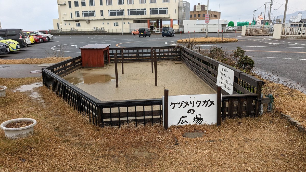 「寺泊水族館素晴らしいな…展示もさることながら館内の空気感が素晴らしい。全てが完璧」|すこやかむいむいのイラスト