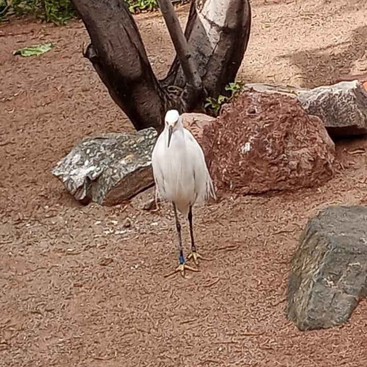 DrakeFowler18's tweet image. 