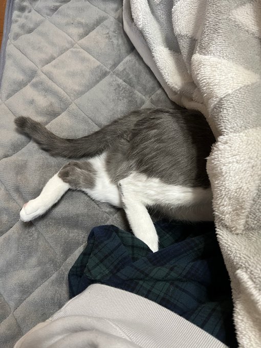 どっちかというと頭出した方が快適だと思うよ 