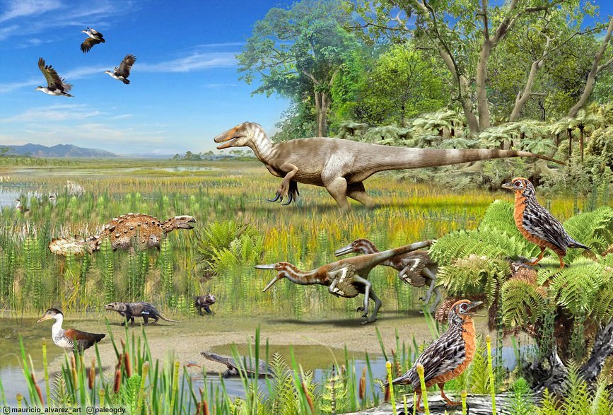 Bárbara Aravena Berríos (@paleobarby) on Twitter photo Felicitaciones a <a href="/PaleoFeathers/">Sarah Davis</a> por liderar el trabajo en el que se da a conocer el primer registro de dinosaurios terópodos 🦖 (los famosos "carnívoros") en la patagonia chilena!
Pueden ver el artículo científico en el siguiente link:
sciencedirect.com/science/articl… Felicitaciones a <a href="/PaleoFeathers/">Sarah Davis</a> por liderar el trabajo en el que se da a conocer el primer registro de dinosaurios terópodos 🦖 (los famosos "carnívoros") en la patagonia chilena!
Pueden ver el artículo científico en el siguiente link:
sciencedirect.com/science/articl…