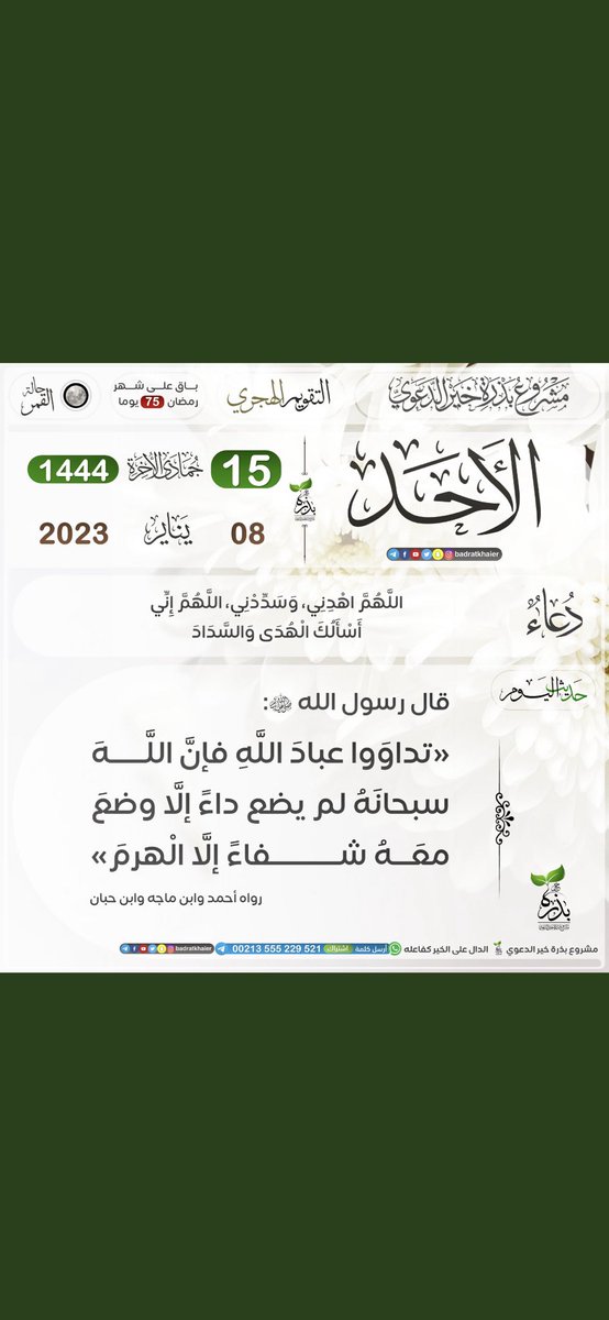 ibra0alkhathami's tweet image. 