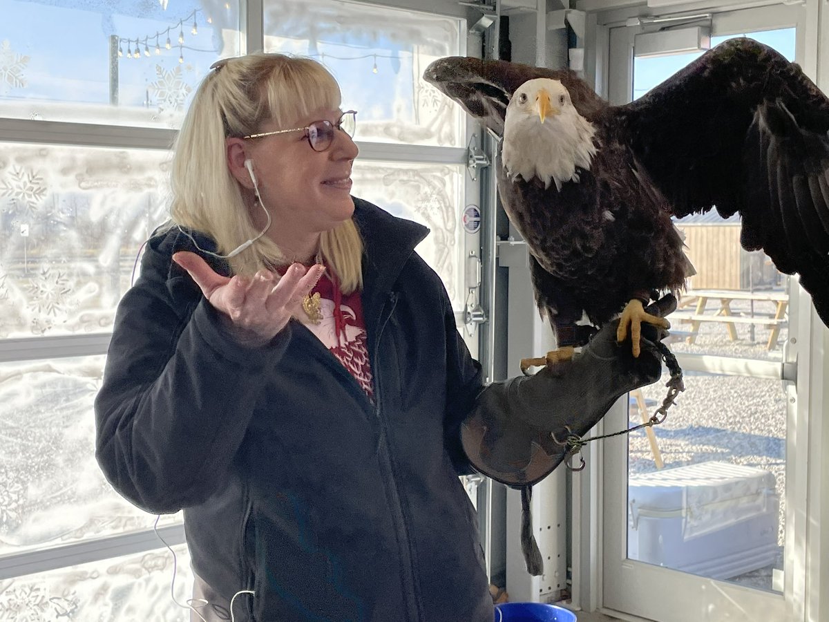 DavidMueth's tweet photo. On TISL this morning @rhyan_henson interviewed an Eagle, Liberty…and Jennifer Jones from the World Bird Sanctuary. https://t.co/eDWENMDHeE