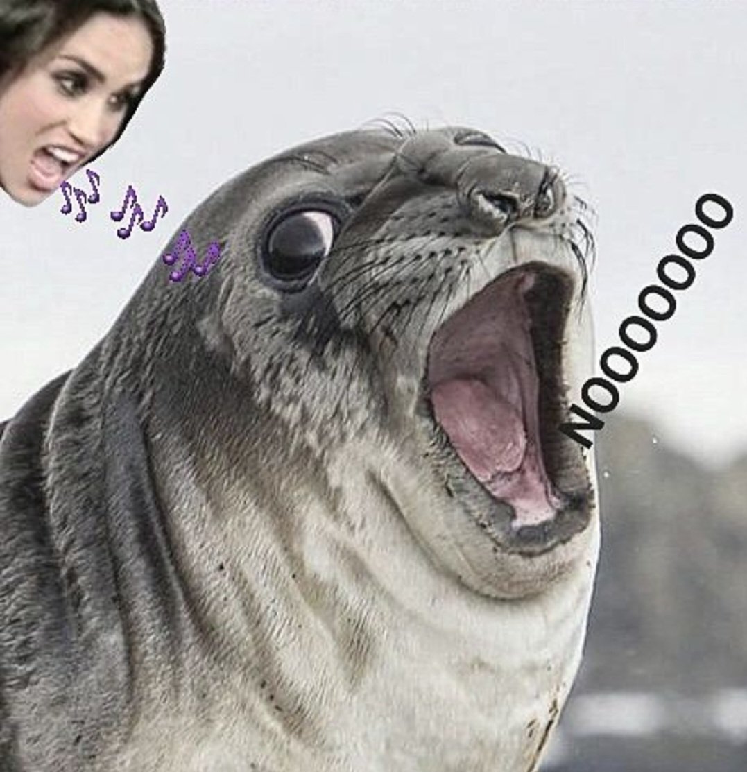 Meghanarciss1's tweet image. #MeghanMarkIe #MagicMushrooms #SpareUs