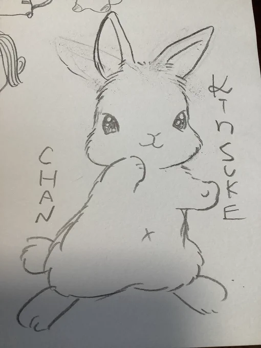 きんちゃん 