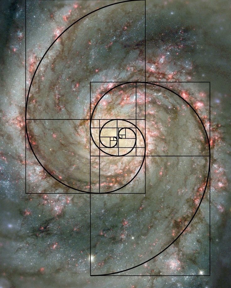 ufobot (@ufob0t) on Twitter photo 