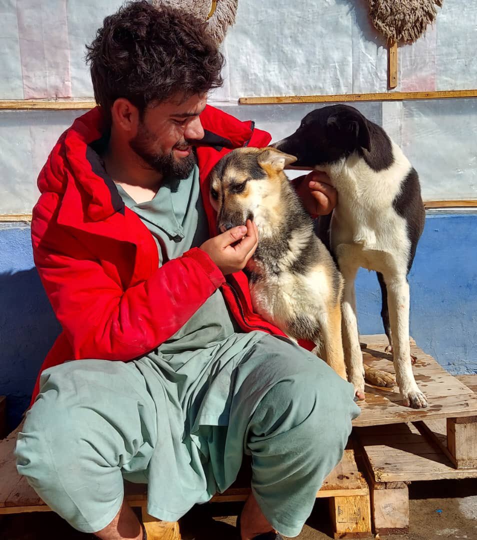 Kabul Small Animal Rescue (KSARshelter) / Twitter