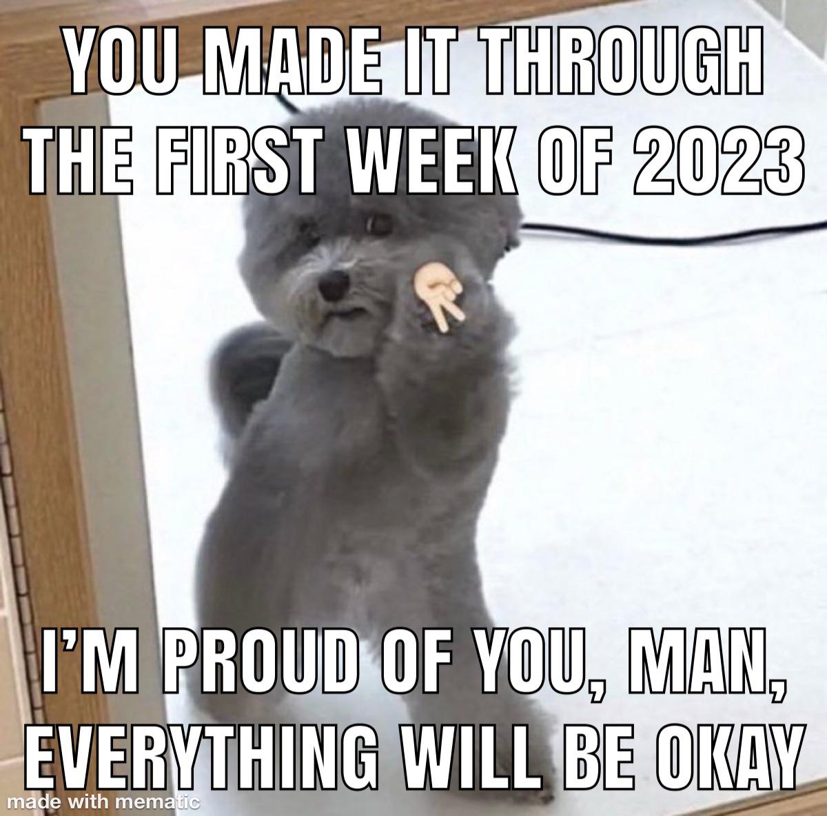 WholesomeMemes tweet media