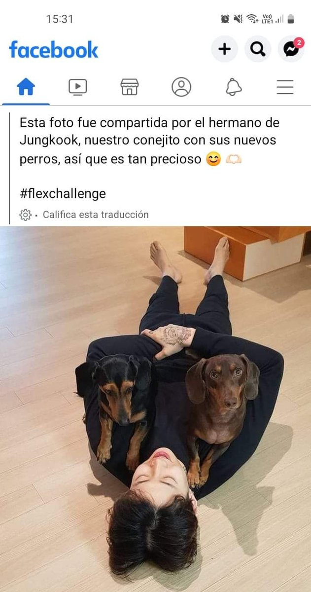 La Army que quedó 🤡⊙⊝⊜ tweet media