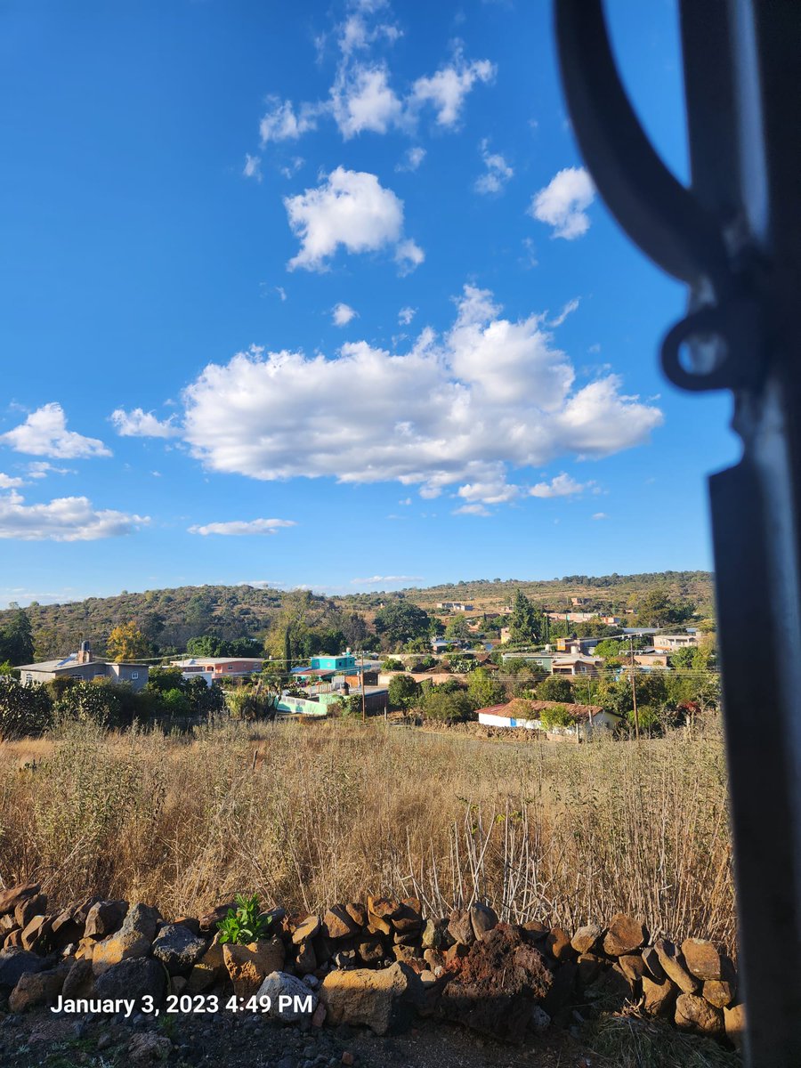 MundoH511's tweet image. 