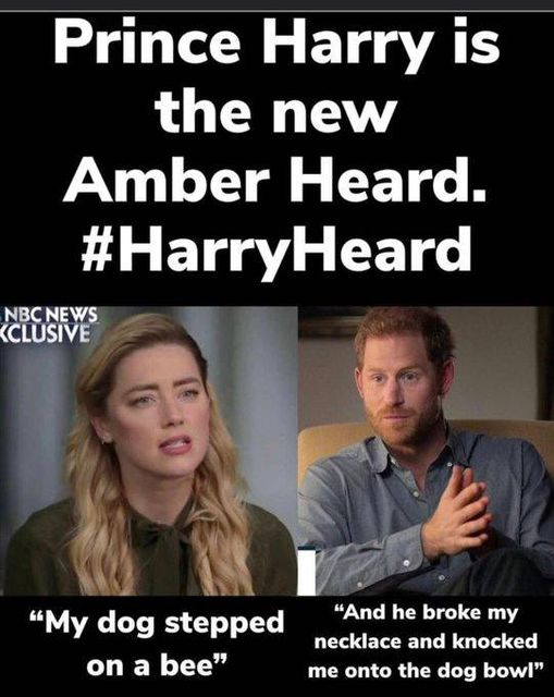 BrutusMaximusX's tweet photo. Harry is the new Amber Heard
H "I want my father back, I want my brother back"
Me, waiting on William to put out a statement saying "Yea, well, I want my foreskin back, and that ain't happening now, either"
#HarryHeard #HarryisaLiar #DogBowlDuke #HarryisJealous #HarrysNecklace https://t.co/lHlsV0uVoz