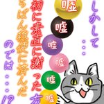 最初に謝った方が穏便に済んだ!？嘘を重ねる現場猫!