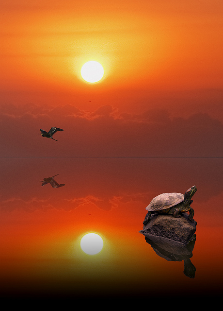 Sleepless Nights (@sleepless_64) on Twitter photo 