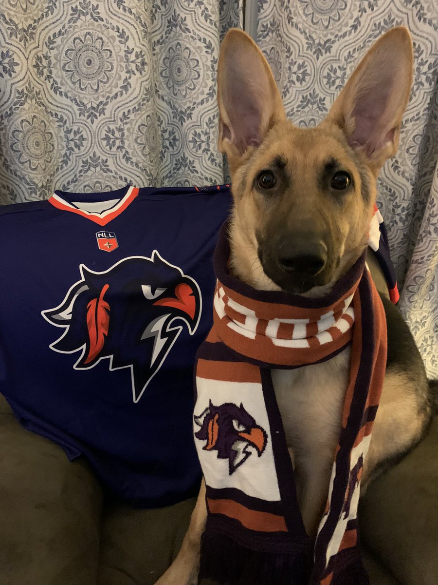 pamela_hayhurst's tweet photo. The #ThunderDog is ready in #Dartmouth, Nova Scotia, to cheer on the boys! #TBirdWatching #GoBirdsGo @HFXThunderbirds https://t.co/6mZUYvUJKg