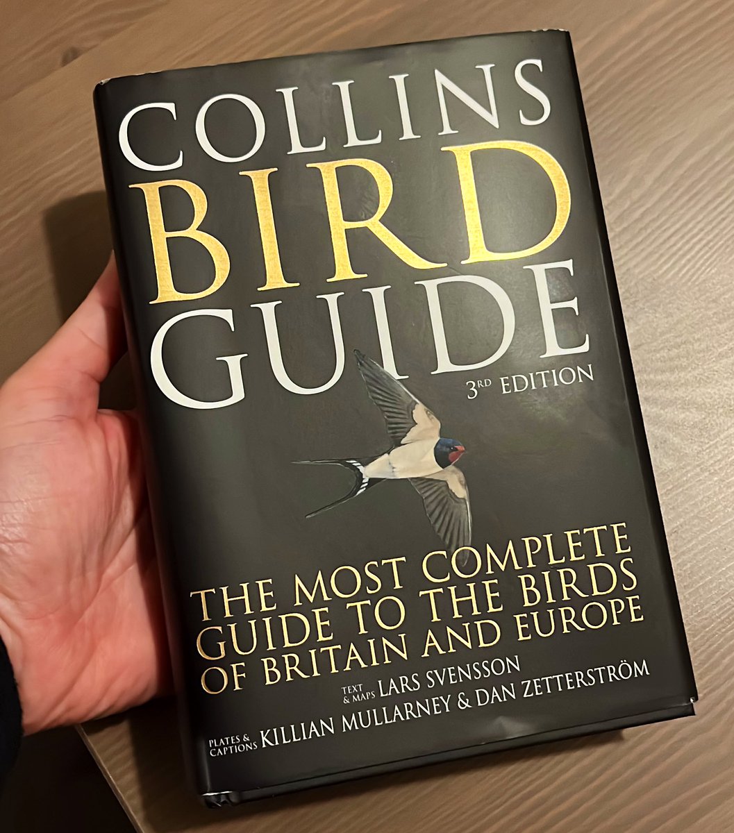 Hugo Romano tweet media