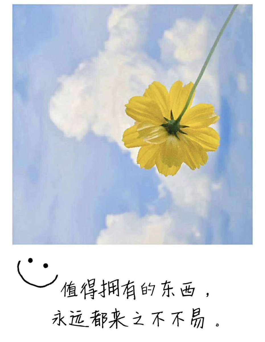 樱桃酱奈子 tweet media