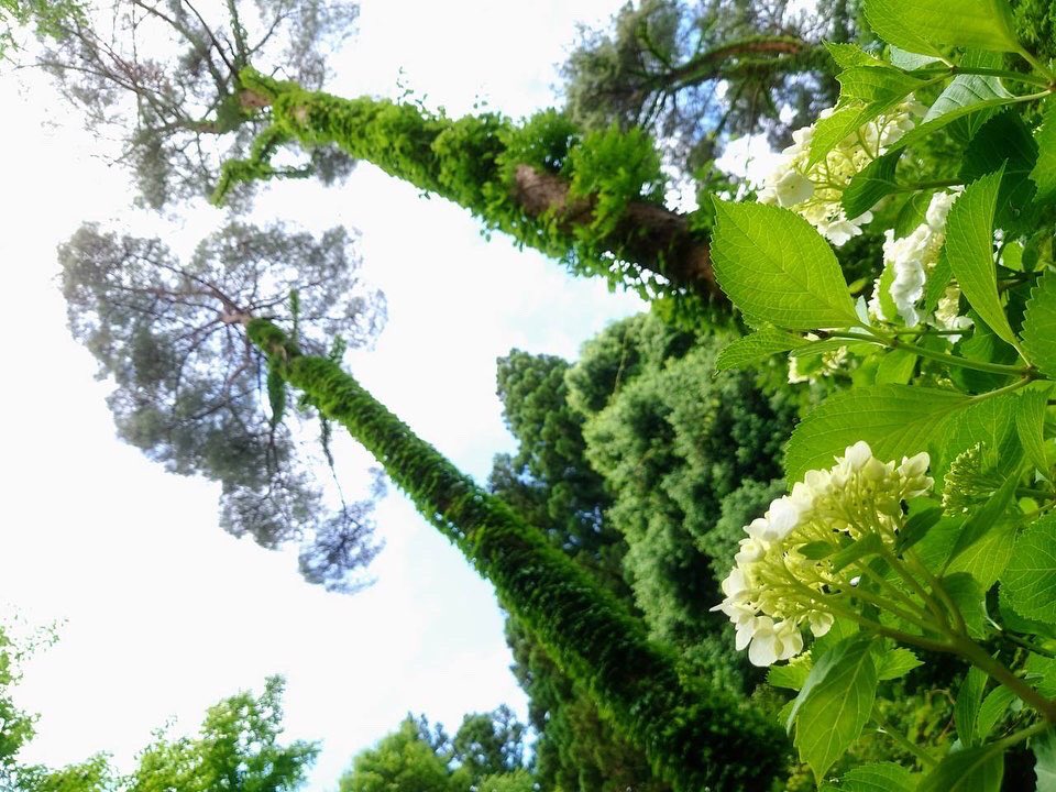 Kimberly (@yuricyann121) on Twitter photo 