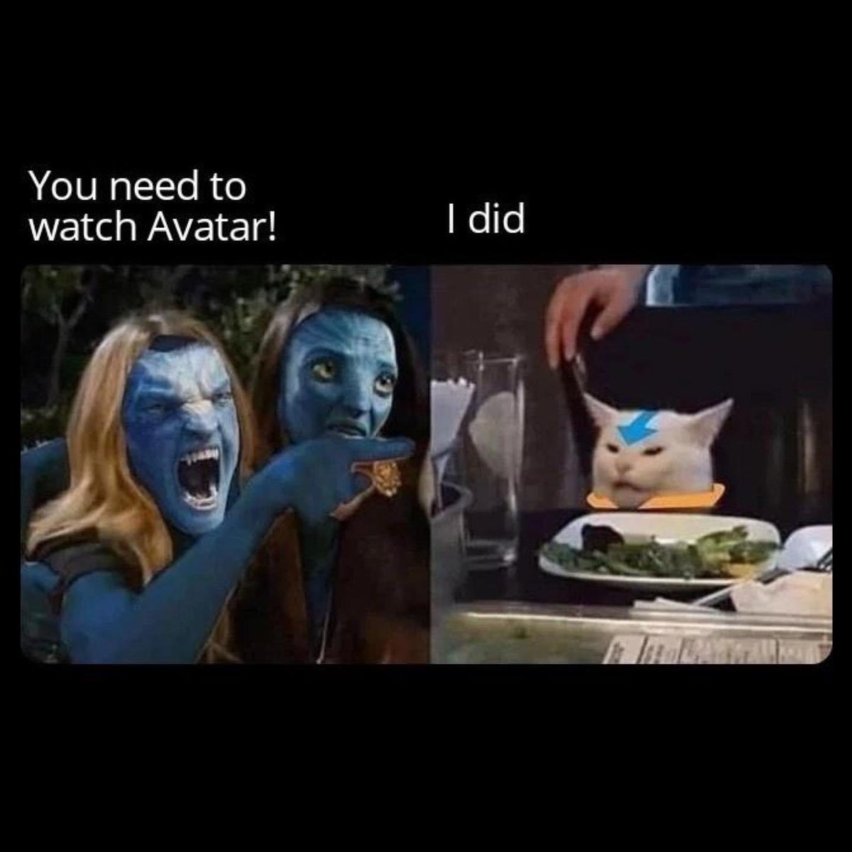 Me toward everyone who ask if I have seen it.

Yes I seen Avatar… the last airbender.
