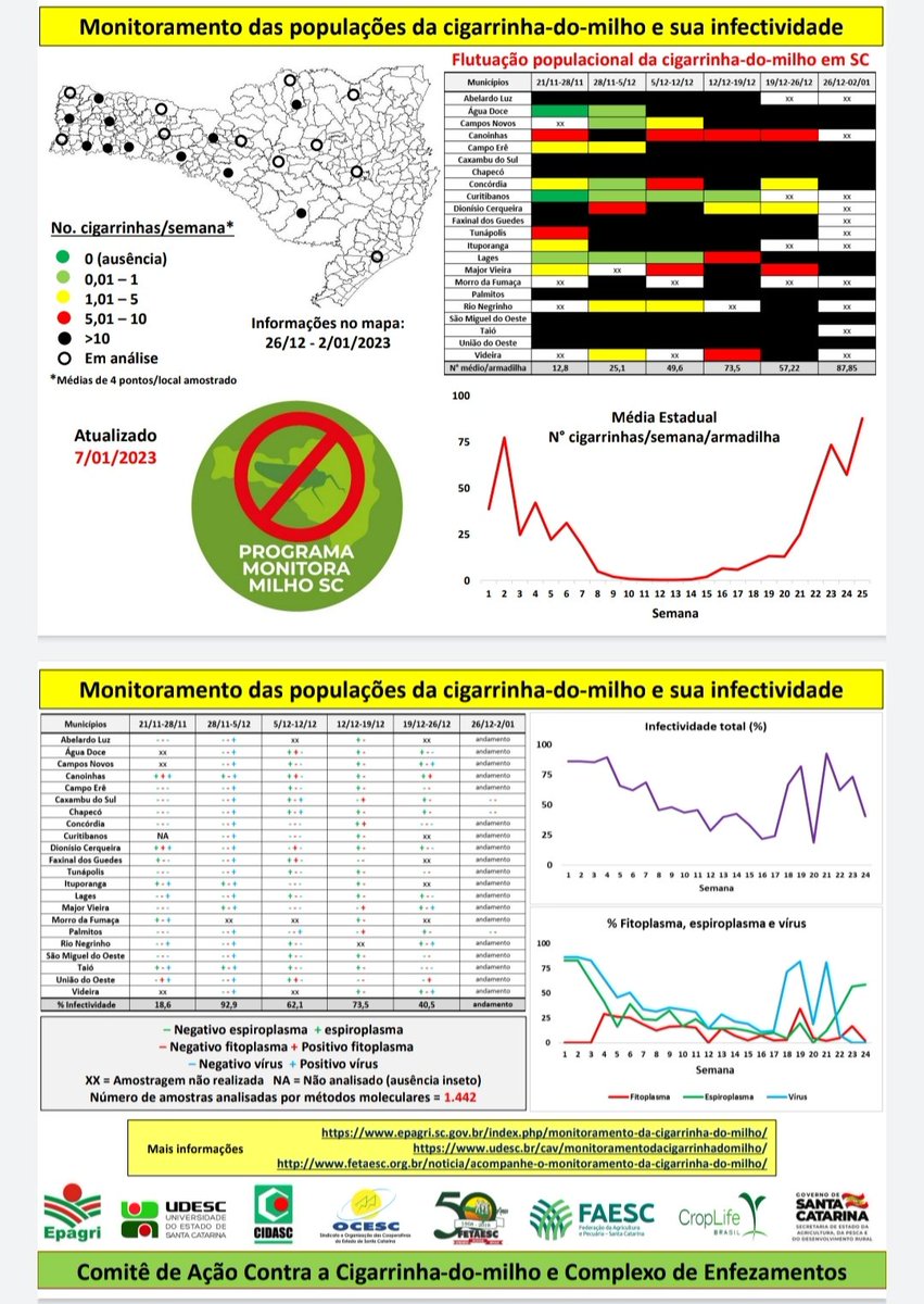 canale_cristina's tweet image. Weekly report of our monitoring program os the corn leafhopper and it's infectivity with mollicutes of the corn stunt disease complex. Have a glance at our results so far. #fapesc #epagri