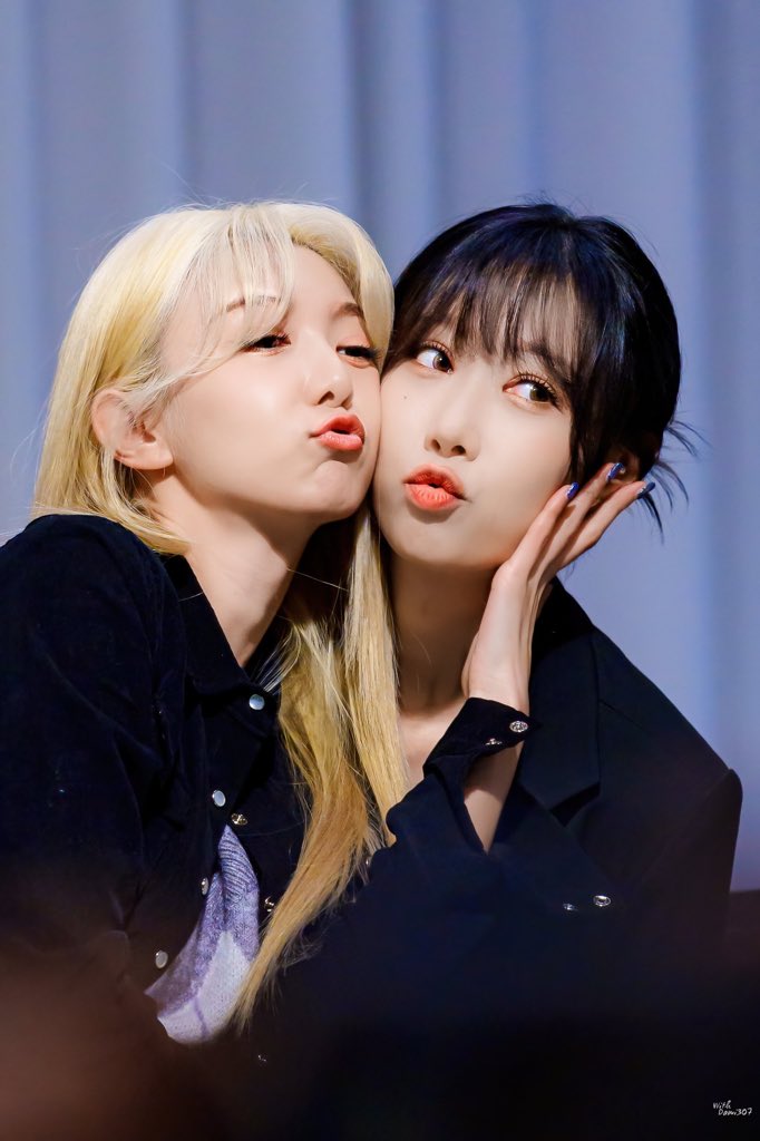 dreamcatcher ; dami, handong
© withdami307