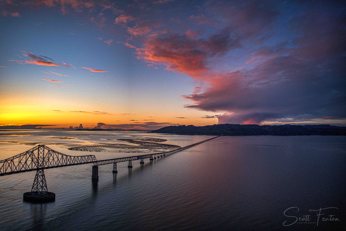 Scott Fenton tweet media