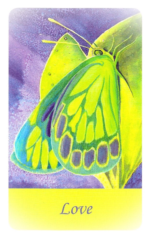 tarotwise's tweet photo. 1-8 Anna’s new Weekly #Tarotcast™ just went live on Facebook and Instagram #InspiringButterflies #VintageTarot
STRENGTH
Inspired animation enters your world. Energy returns and you can't wait to get back to work on key projects. Problems seem to solve themselves as you move… https://t.co/y7p27Lz7eB