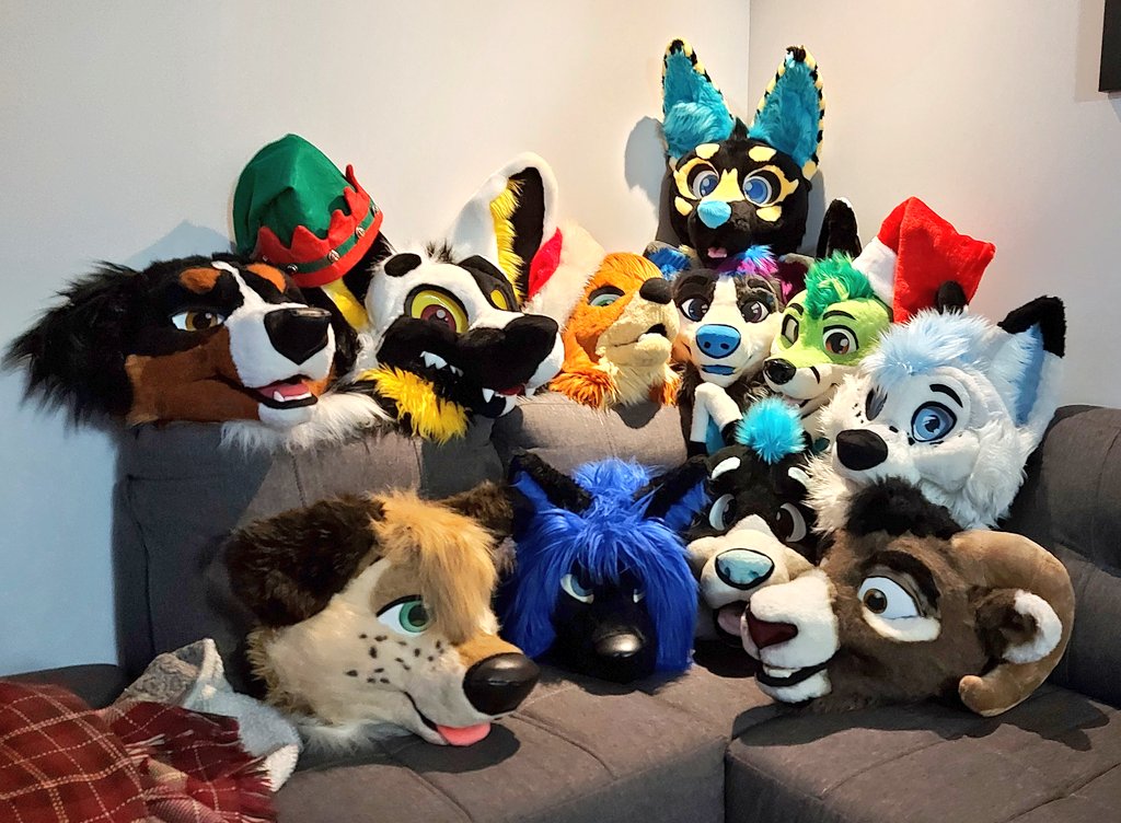 So many cuties !!! 🐶🐺🦊