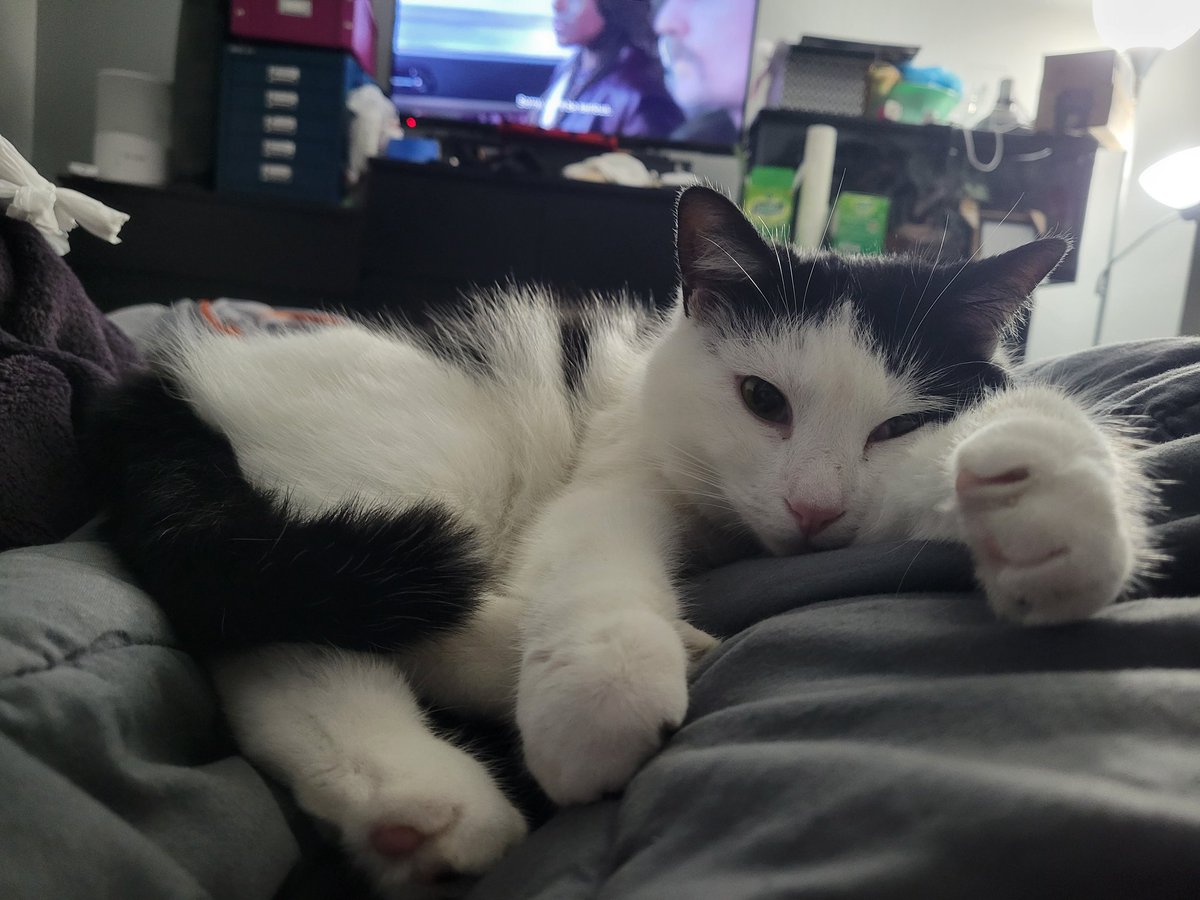 soitgoes86's tweet image. We&apos;re slowly becoming friends 💕