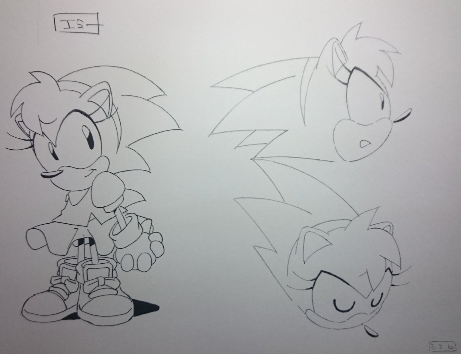 Sonic The Hedgeblog on X: Concept artwork for Amy Rose for 'Sonic CD' on  the Mega CD.   / X