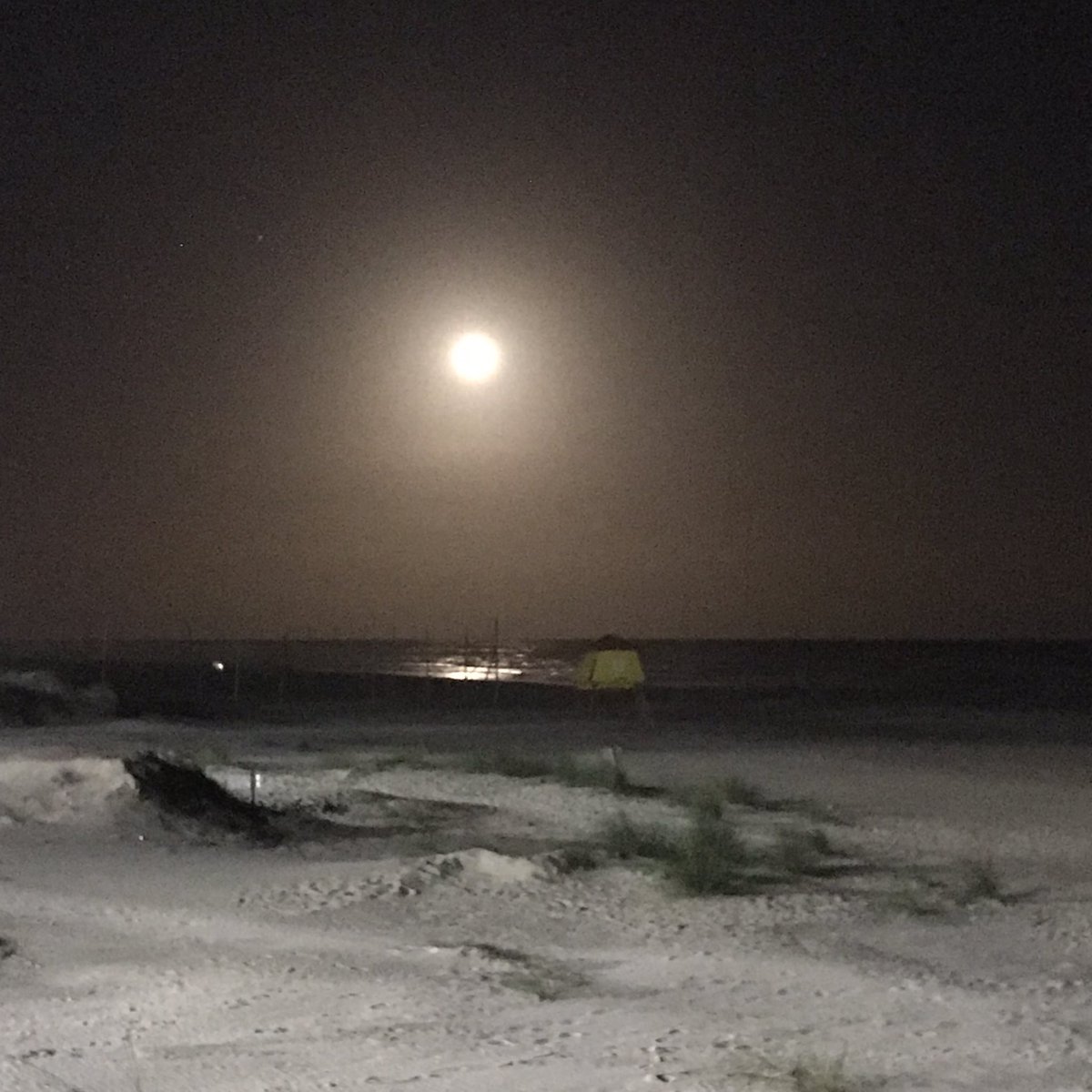 Emerim37's tweet photo. Lua cheia Desliga o farol Namora comigo À espera do sol...
Tira a roupa Prum banho de mar É pele na pele Desejo no olhar…#lua #luar #linda #sabado https://t.co/1aBSP1vV3w