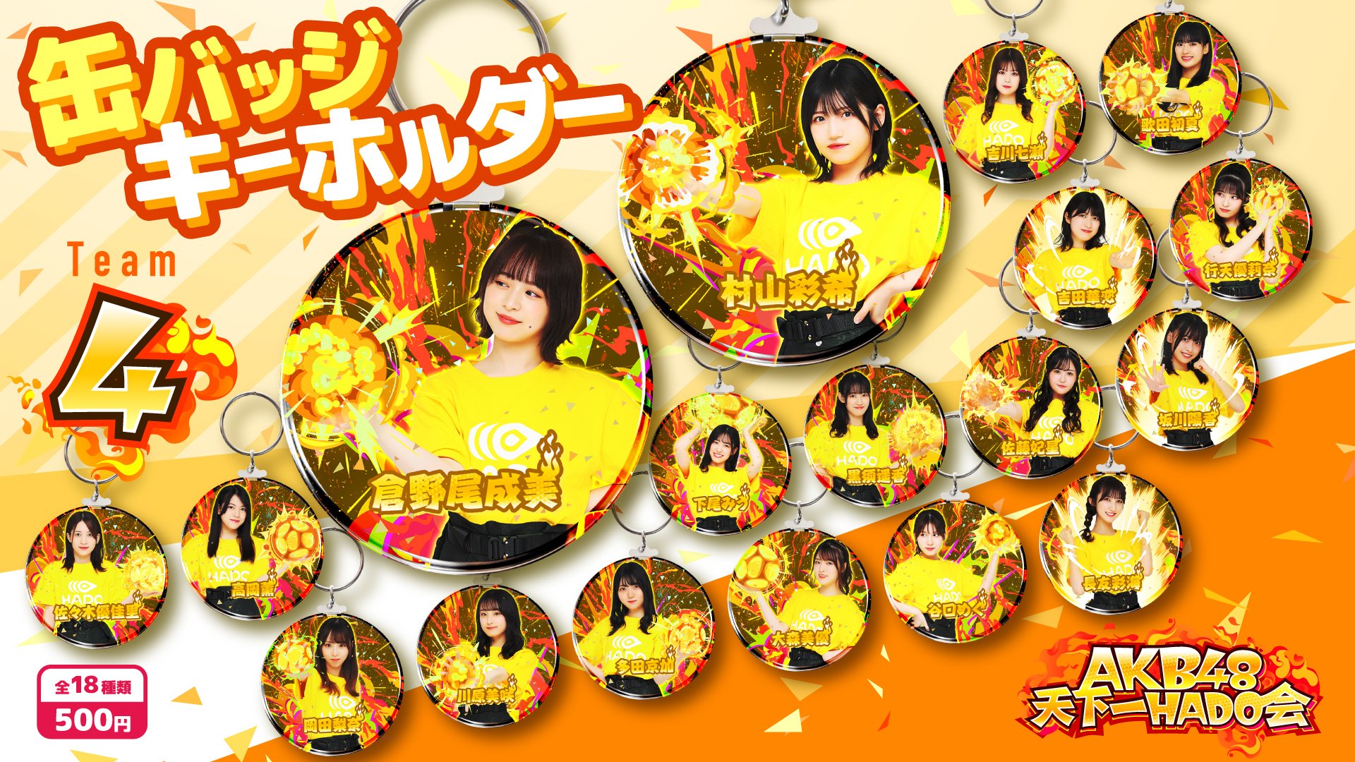 AKB48 春コンサート Specialくじ 缶バッジ 44個 コンプリート