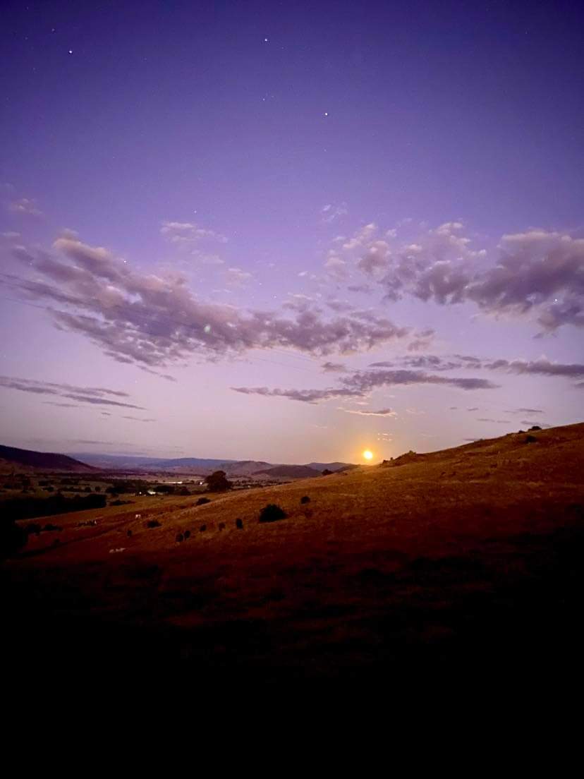 BradfieldThe's tweet photo. Last night's sunset from Mt Elliot followed an hour later with last nights moon rise from Playles Hill, 30 minutes of bush track driving with kangaroos, wallabies and deer in between https://t.co/sKRKg2e7g1