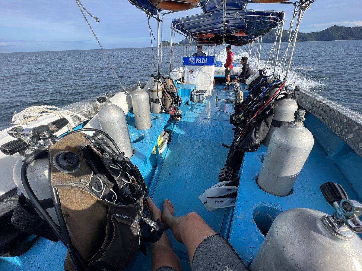 divedownbelow's tweet photo. We are #diving again 😎 #sundaydive https://t.co/sGTRsGGvyx