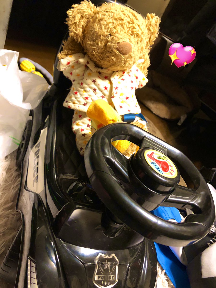 chocola1teddy's tweet photo. みんな！おそくなったけど、あけおめー🎍おとーとのくるまにのってのんびりしてたよー٩(๑❛ᴗ❛๑)۶
ボクはベッドのほうがもふもふぬくぬくしててすきだなー💕
ことしはちょこちょここーしんしていくことがもくひょーなんよー！
よろしくねー！(*´ω`*)✨ https://t.co/M9gciDs3VP