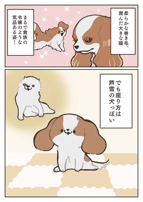 キャバリアとは 