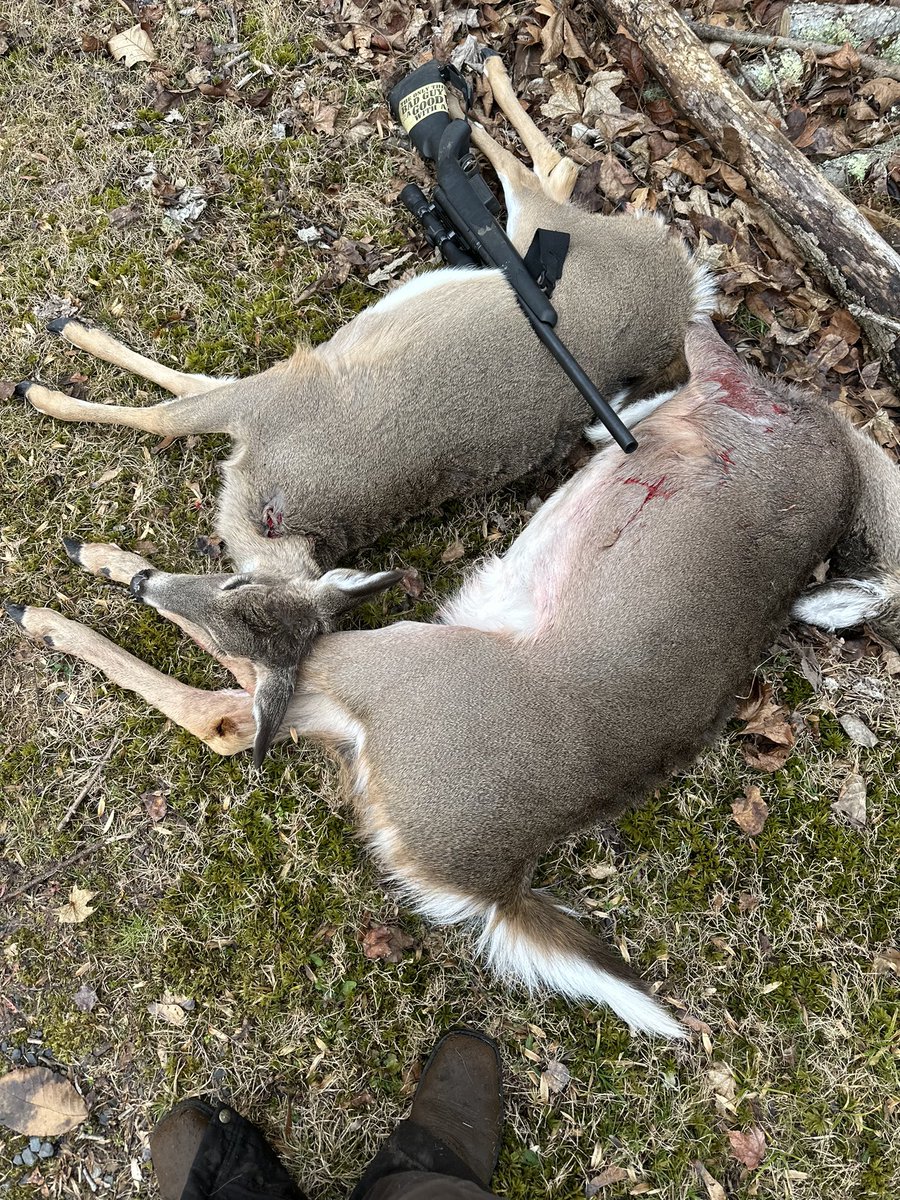 lovers_hunting's tweet photo. Kid doesnβt miss 20 gauge savage with the accutips!!π¦β£οΈ
#deerhunting #deer #deerlover #deerhunt #whitetailhunting #whitetail #bigbuck #buckhunting #buck #Hunter #Hunters #Huntshowdown #hunting #huntertoh #huntinglife #huntingseason #deerhuntingtips #deershoot #deermeat https://t.co/XN0yV0qsDP